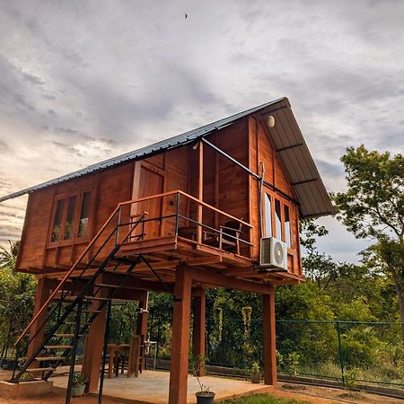 فيلا Lion Wood Treehouse Talkote المظهر الخارجي الصورة