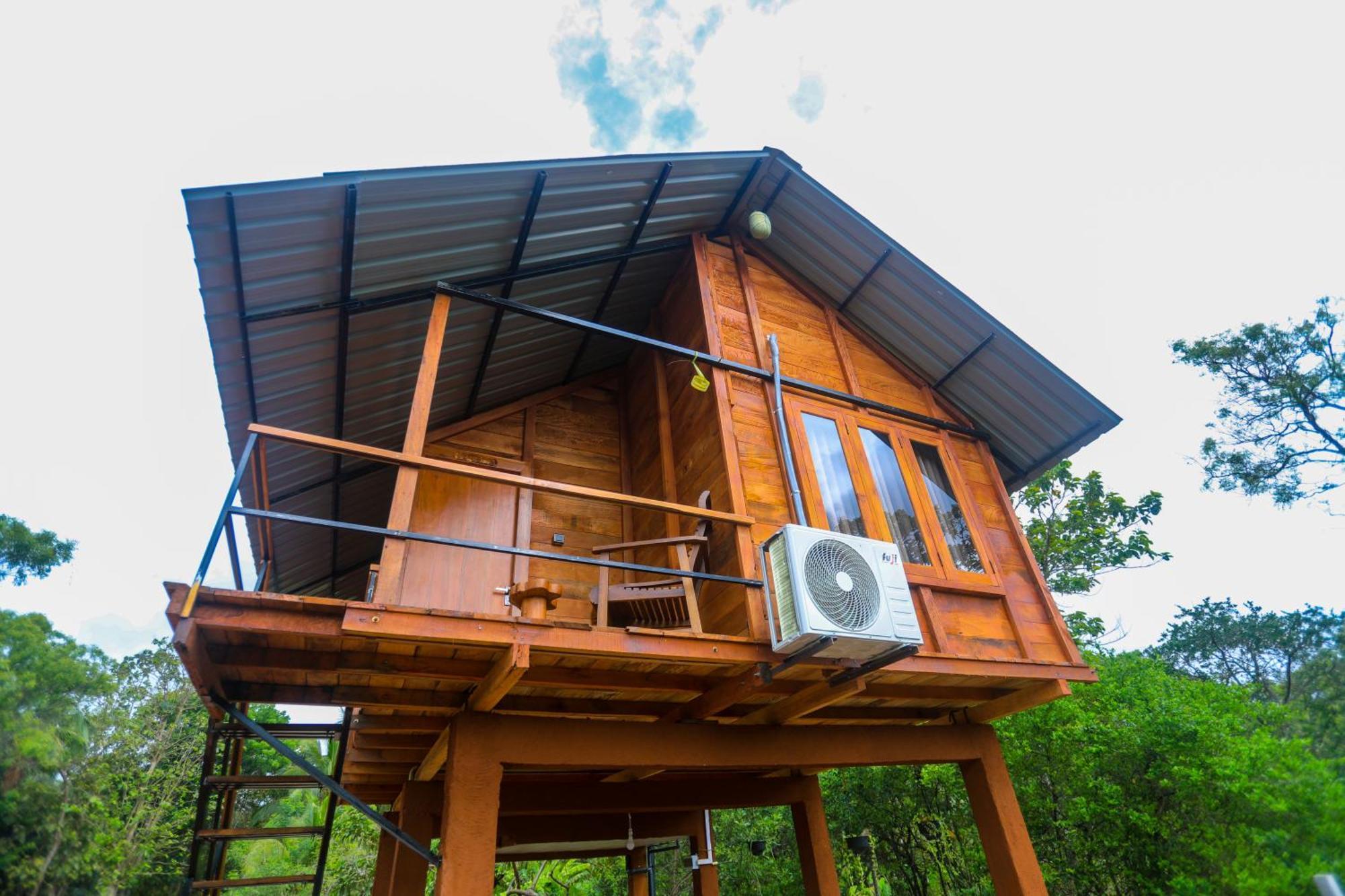 فيلا Lion Wood Treehouse Talkote المظهر الخارجي الصورة