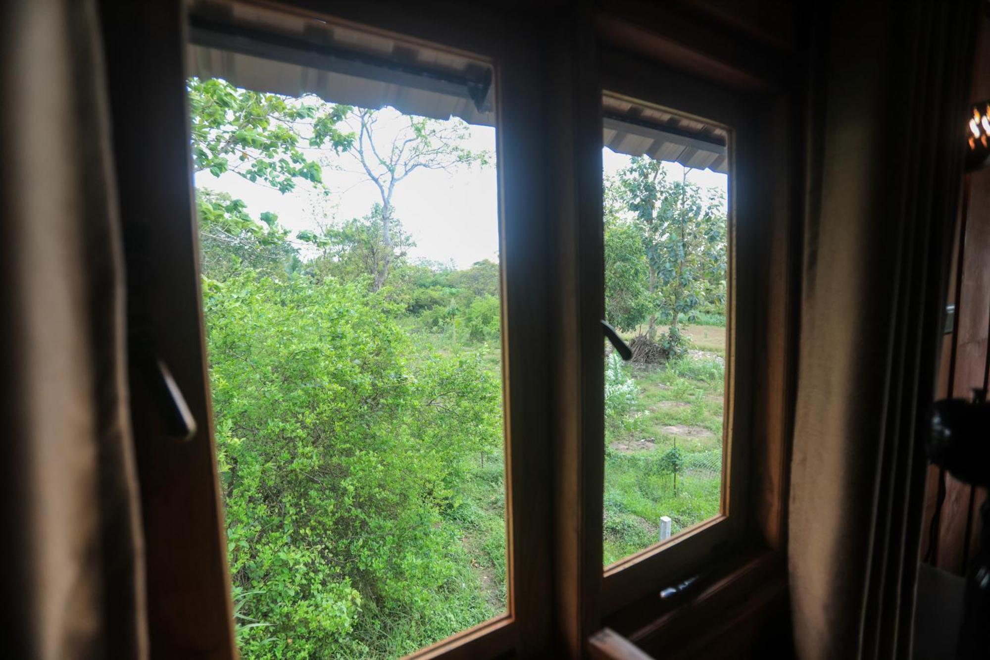 فيلا Lion Wood Treehouse Talkote المظهر الخارجي الصورة