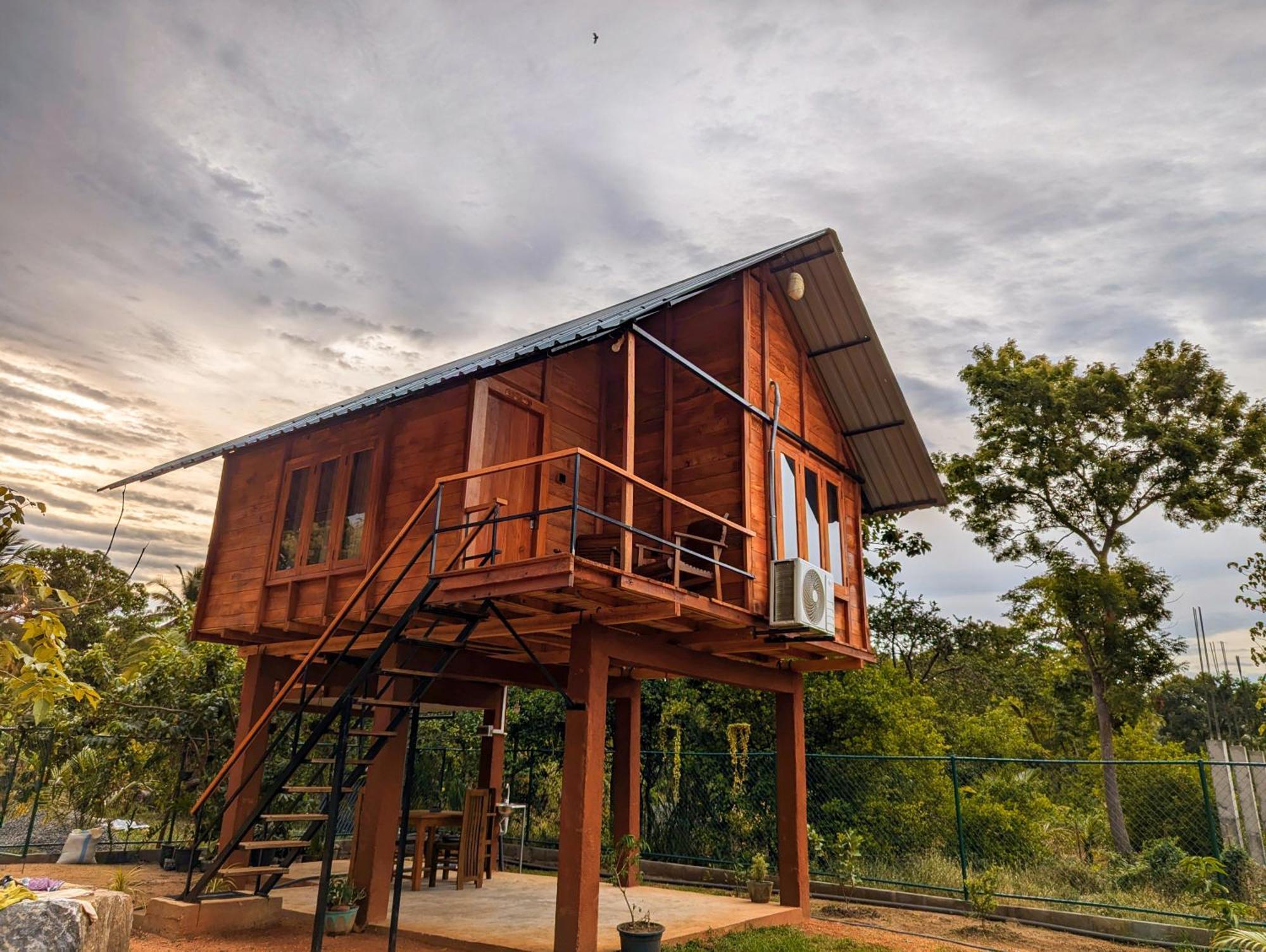 فيلا Lion Wood Treehouse Talkote المظهر الخارجي الصورة