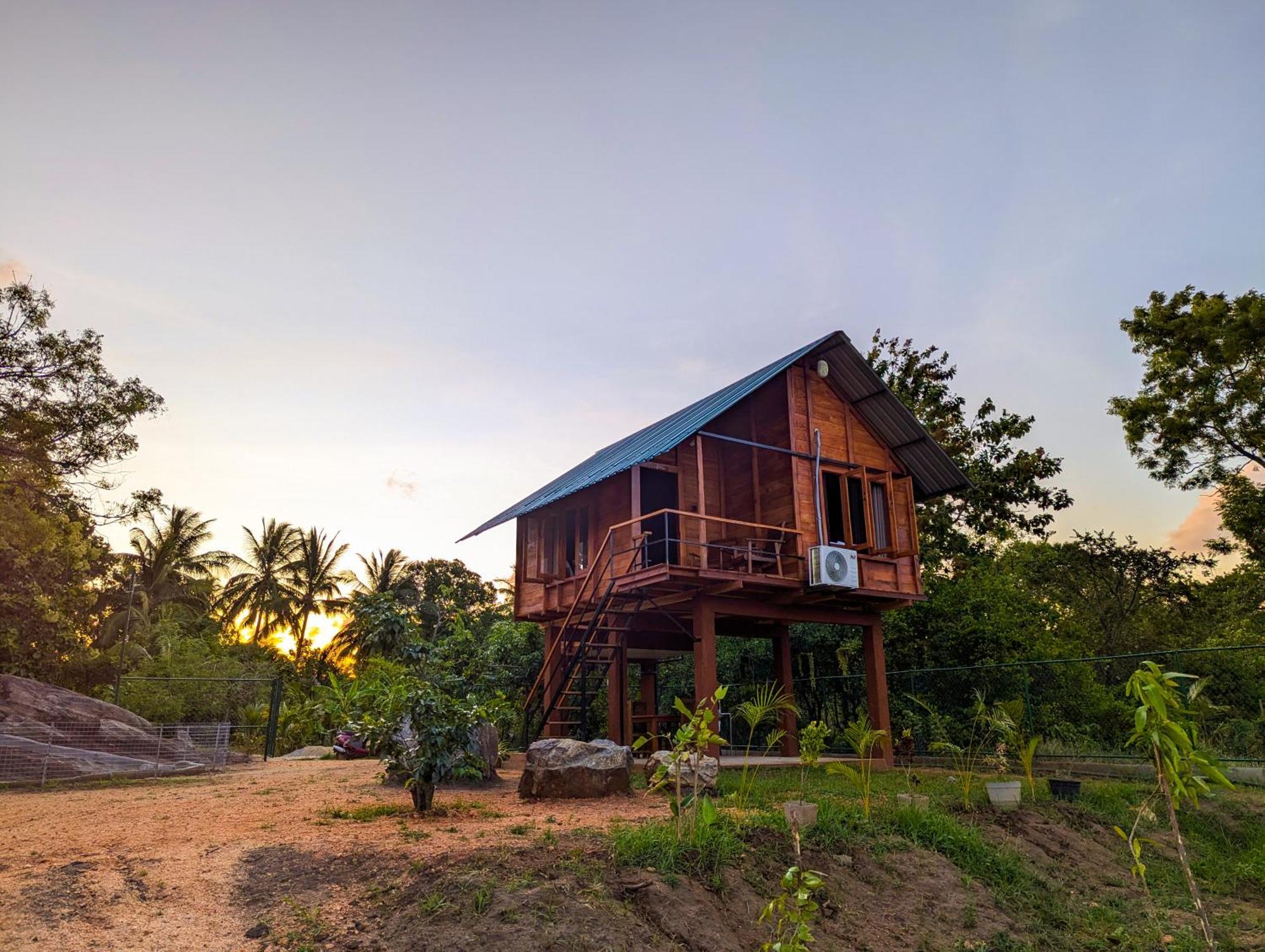 فيلا Lion Wood Treehouse Talkote المظهر الخارجي الصورة
