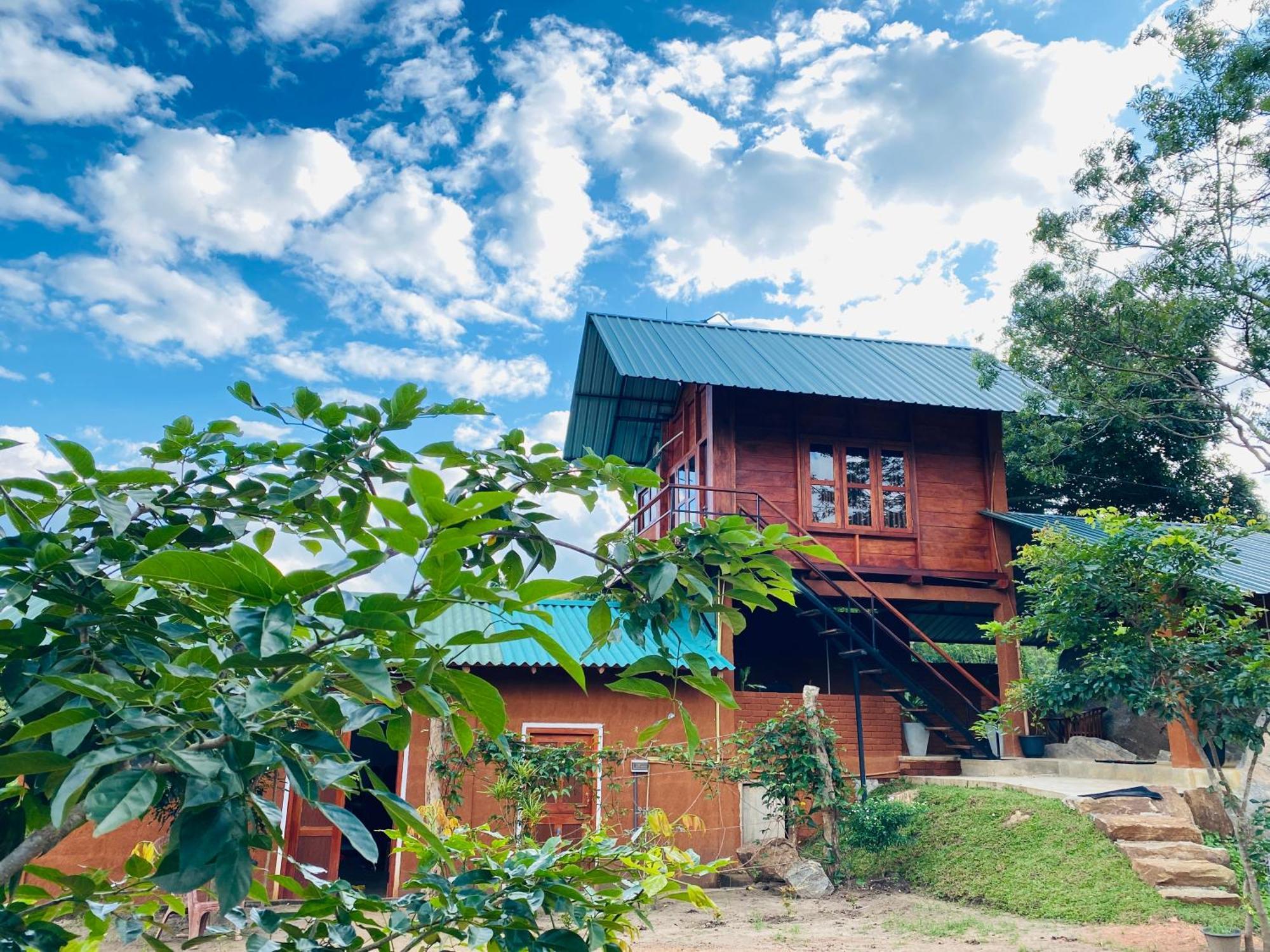 فيلا Lion Wood Treehouse Talkote المظهر الخارجي الصورة